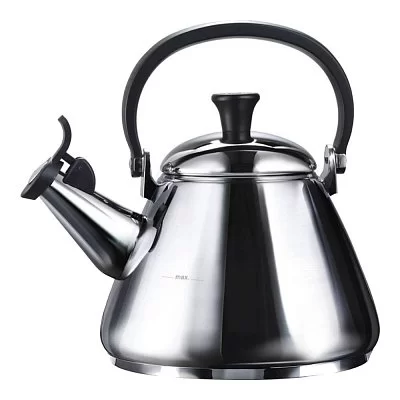 Чайники для плиты - изобр. 40