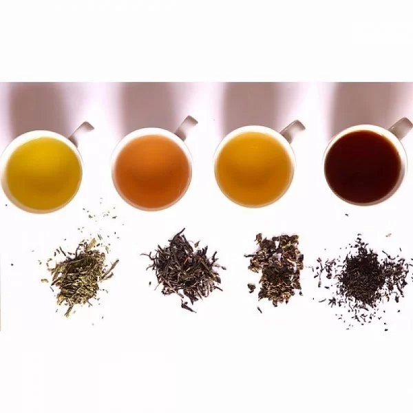 Чайник электрический Artisan 1,5л, серебряный медальон, Kitchen Aid, 5KEK1522EMS - изобр. 10