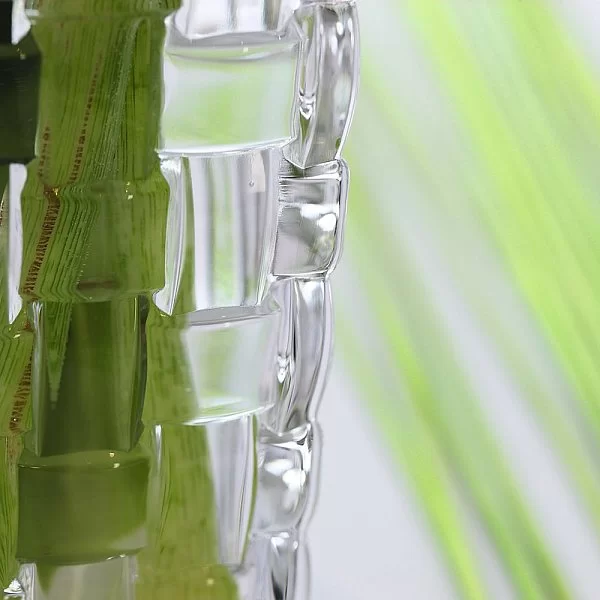 Ваза для цветов Bossa Nova 20 см хрусталь, Nachtmann, 82088 - изобр. 11