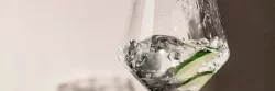 Zwiesel Glas - изобр. 12
