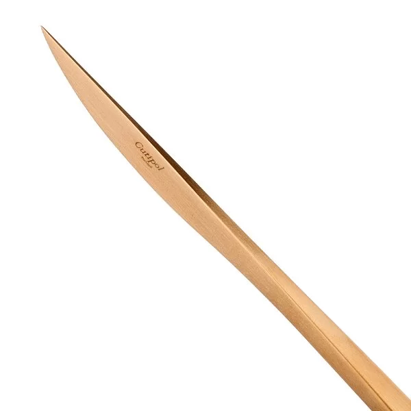 Набор столовых приборов на 6 персон Duna Gold Brushed 24 предмета, нержавеющая сталь 18/10, золото, Cutipol, DU.006 GB - изобр. 9