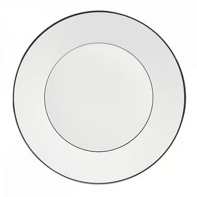 jasper conran platinum Wedgwood - изобр. 44