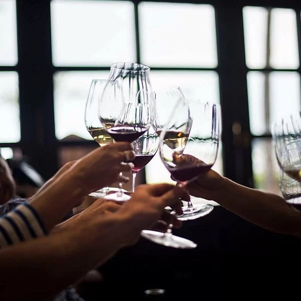 Набор из 2-х бокалов для белого вина Performance Sauvignon Blanc 440 мл, хрусталь, Riedel, Австрия, 6884/33 - изобр. 11