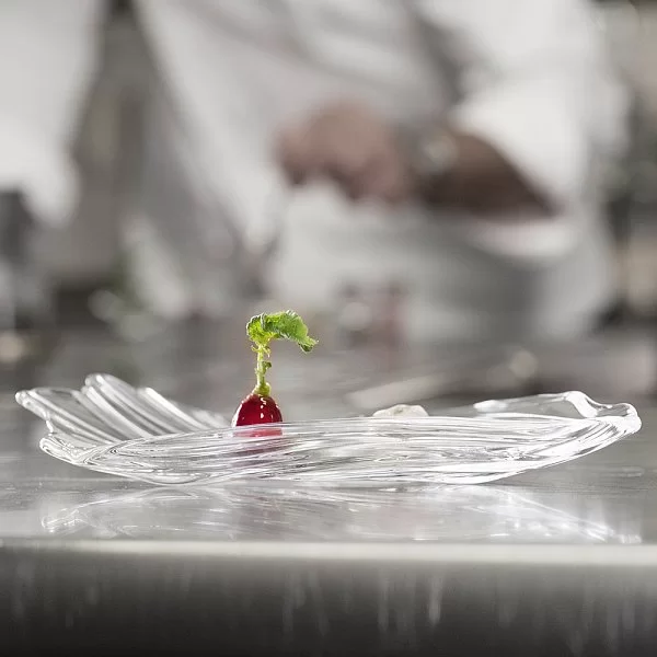 Набор подтсановочных тарелок/блюд Jin Yu 2 шт, 38х30 см, хрусталь, Nachtmann, 98067 - изобр. 11