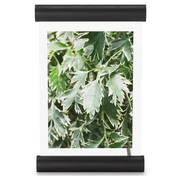 Фоторамка Scroll, 14 х 18 см, цвет черный, дерево + стекло, Umbra, Канада, 1016770-040 - изобр. 9