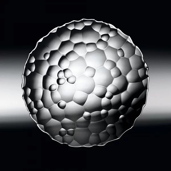 Набор закусочных тарелок Sphere 23 см 2 шт, хрусталь, Nachtmann, 93628 - изобр. 8