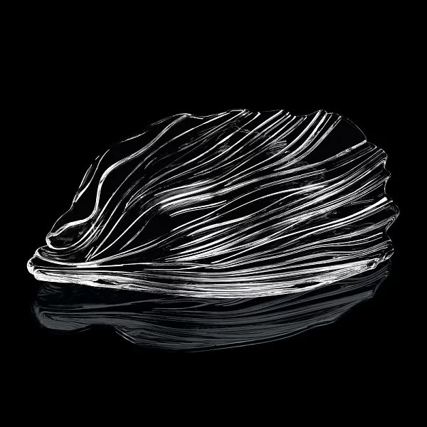 Набор подтсановочных тарелок/блюд Jin Yu 2 шт, 38х30 см, хрусталь, Nachtmann, 98067 - изобр. 8