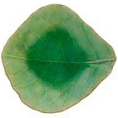 impressions Costa Nova - изобр. 156