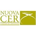 Чайная пара Regale 250 мл, материал керамика, Nuova Cer, Италия, 7417-RGE - изобр. 10