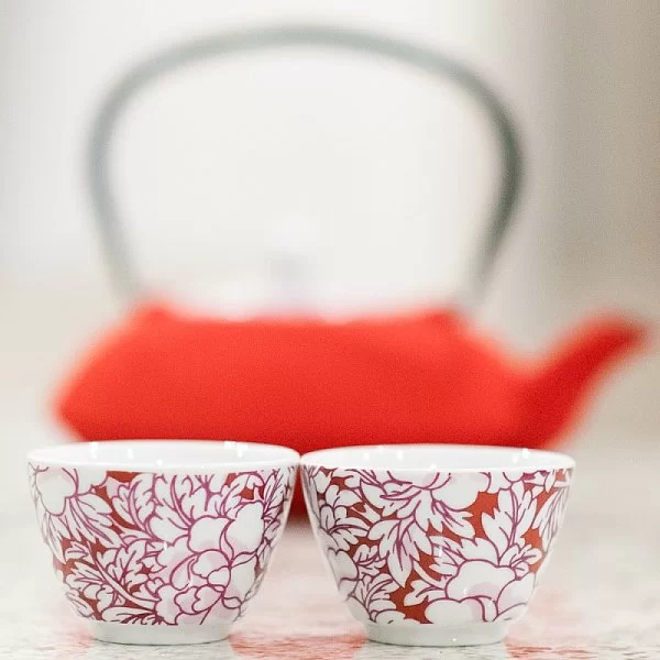 Набор из 2 пиал для чая 100 мл, цвет красный, фарфор, Bredemeijer, Нидерланды, BRD-152003 - изобр. 8
