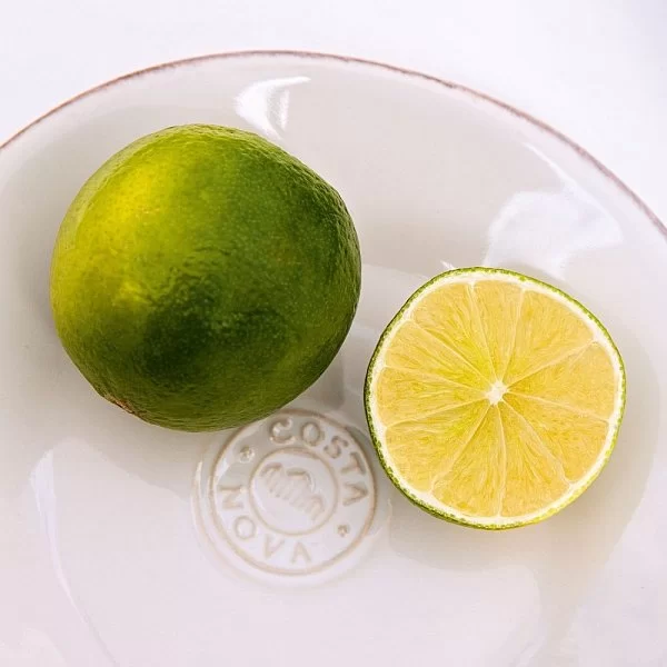 Тарелка пирожковая Nova 16 см материал керамика, цвет белый, Costa Nova, Португалия, NOP161-WHE(NOP161-02203B) - изобр. 8