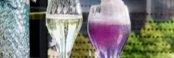 Chef and Sommelier - изобр. 15