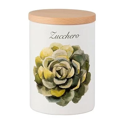 Кактус Nuova Cer - изобр. 24