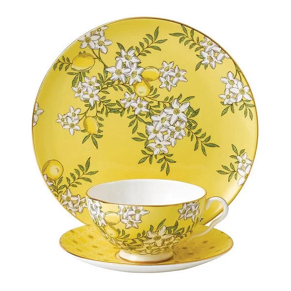 Чайная пара Tea Garden 170 мл, материал фарфор, цвет желтый, Wedgwood, Великобритания, 40020297 - изобр. 8