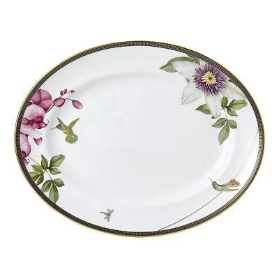 hummingbird Wedgwood - изобр. 18