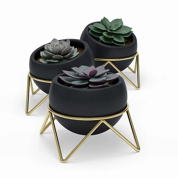 Набор из 3 горшков для растений на подставке Potsy материал каменная керамика + металл, цвет черный + латунь, Umbra, Канада, 1013191-1137 - изобр. 8