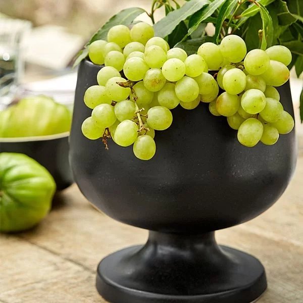 Чаша на ножке Riviera 12 см материал керамика, цвет зеленый, Costa Nova, Португалия, VED121-VRF(VED121-01920A) - изобр. 8